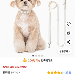강아지 목줄+리드줄 L사이즈 (하루사용)
