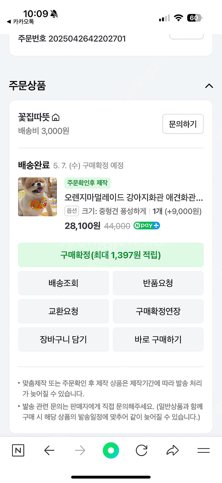 강아지 오렌지색 화관 팝니다-하루사용--1