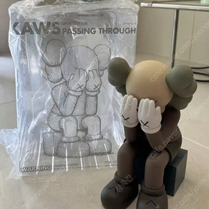 카우스 패싱쓰루 KAWS Passing Through 아트토이 브라운