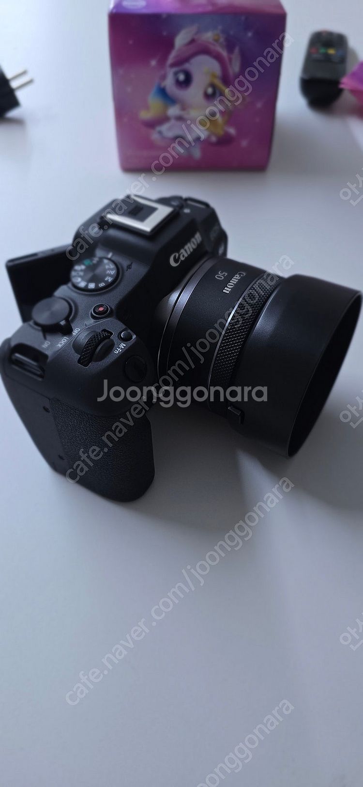 캐논 R8, RF50mm f1.8, 추가 배터리2개--0