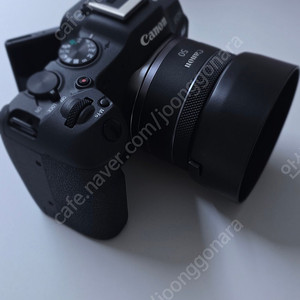 캐논 R8, RF50mm f1.8, 추가 배터리2개