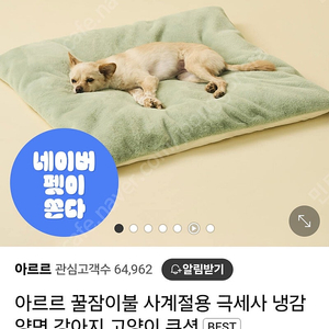아르르 강아지 쿠션