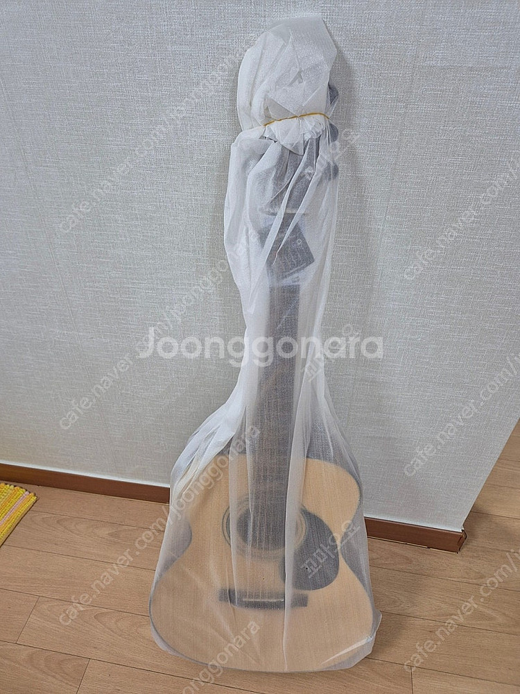 세고비아 NG-100GN 어쿠스틱 통기타 새상품--5