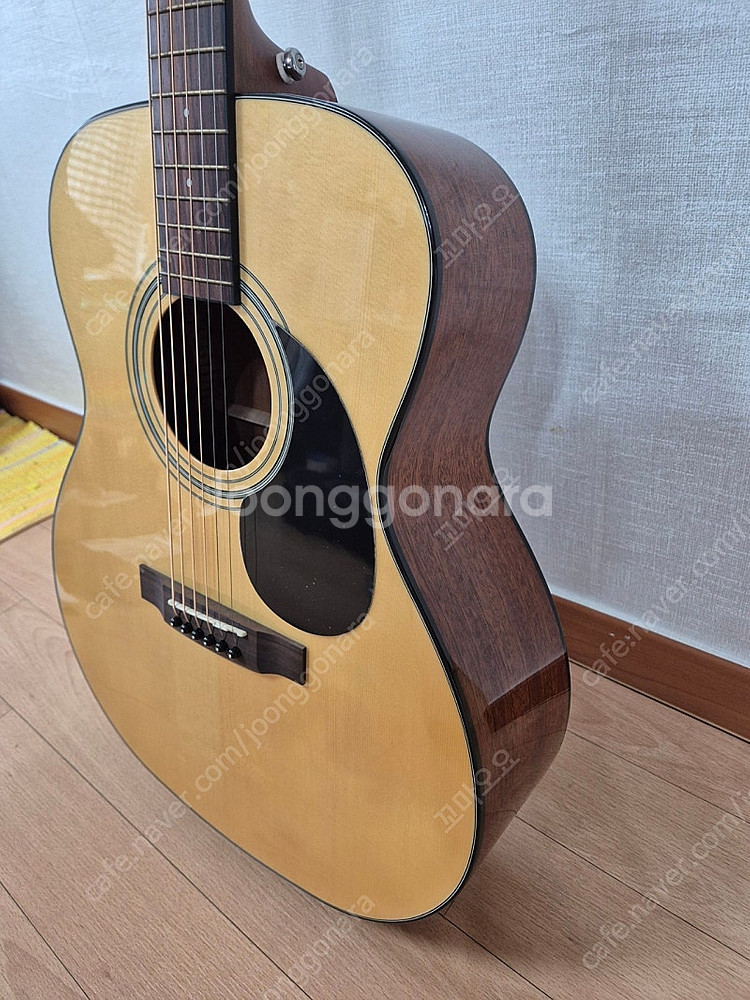세고비아 NG-100GN 어쿠스틱 통기타 새상품--9