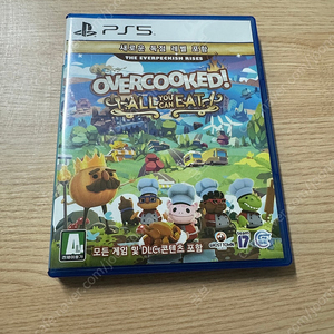 ps5 오버쿡드 올유캔잇 팝니다