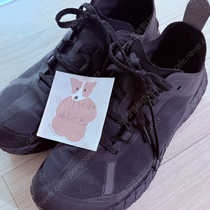 [270] 노다 001 스텔스블랙