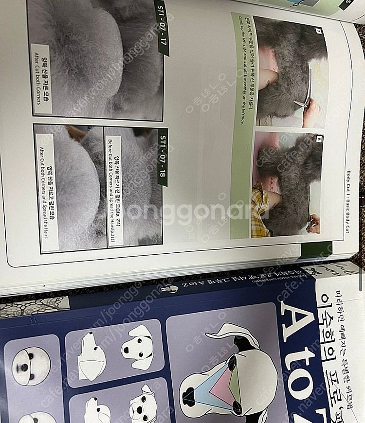 이숙희 프로펫셔널 그루밍 책 1권 2권--0