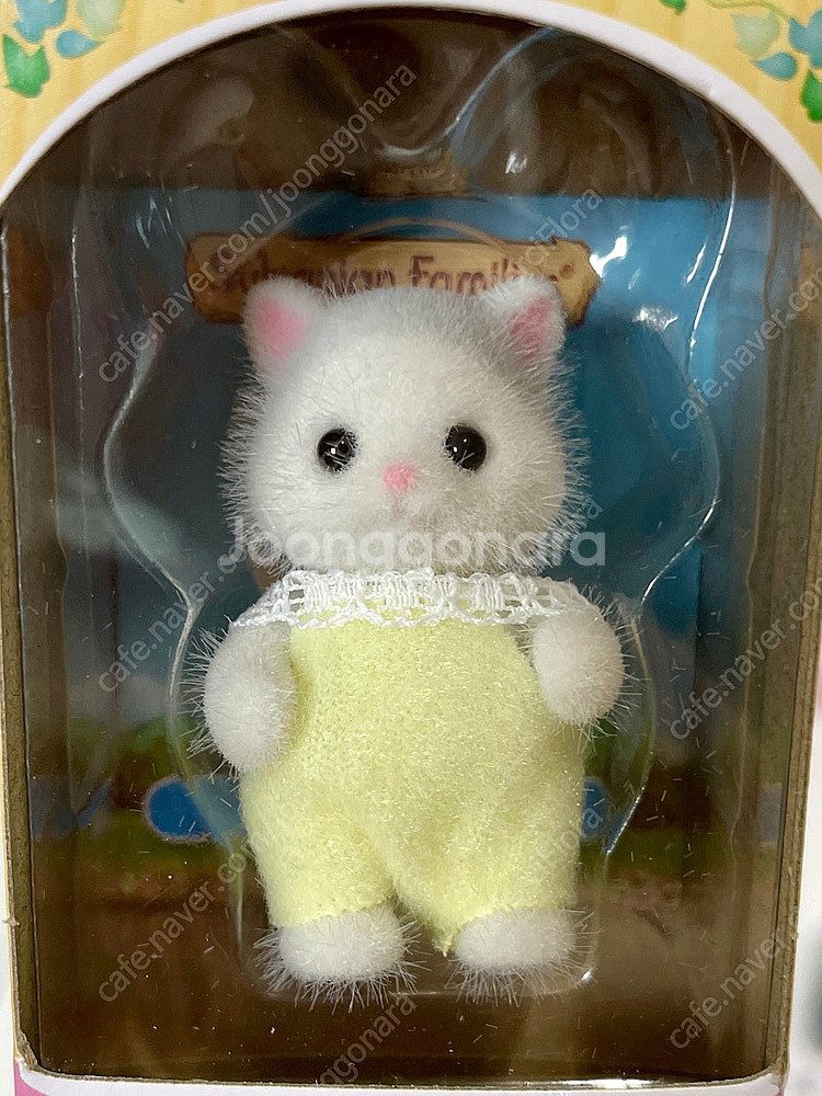 실바니안 페르시안 아기 고양이 직립--0