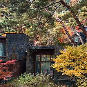 (연휴) 6/6,7일 리솜제천 포레스트,레스트리G40,S30 가실 분~