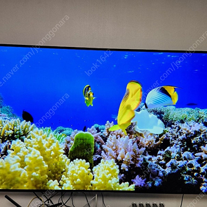 LG 올레드 티비 77인치 OLED77CXFNA