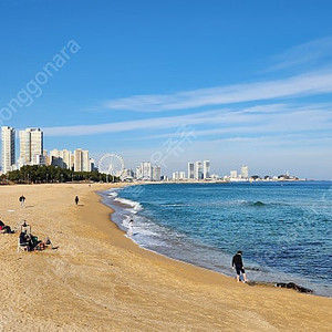 니코마트ft n, 니코르28/1:3.5, 필터, 캡, 노출ok, 스트랩, 가죽케이스.