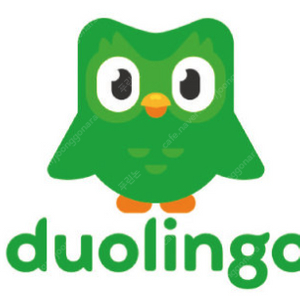 슈퍼 듀오링고 (Duolingo) 파티원 구함