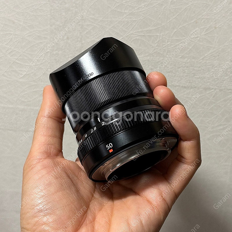 후지 XF50mm F2 + 스퀘어후드--3