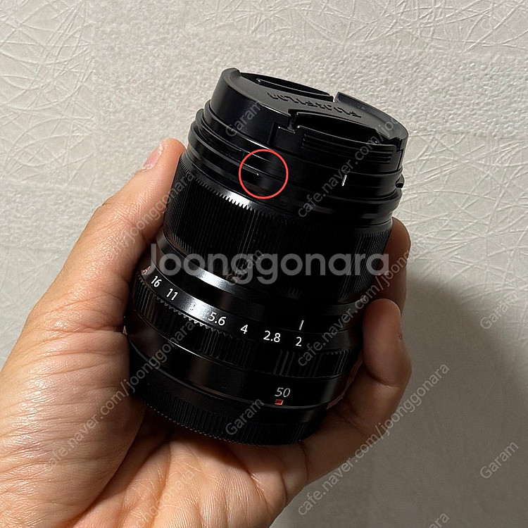 후지 XF50mm F2 + 스퀘어후드--4