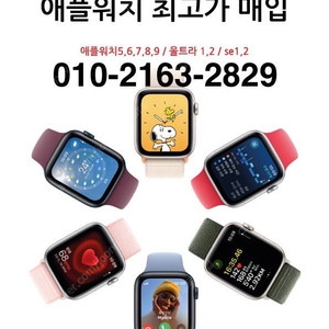 (매입) 애플워치 최고가 구매 삽니다 스테인리스 에르메스 울트라 se12 5678910 티타늄 스뎅 40,41,42,44,45,46