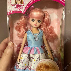 리카인형 메르헨 바비인형