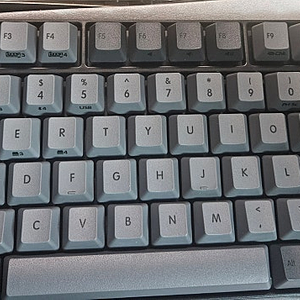 리얼포스 rc1 블랙 영문 45g