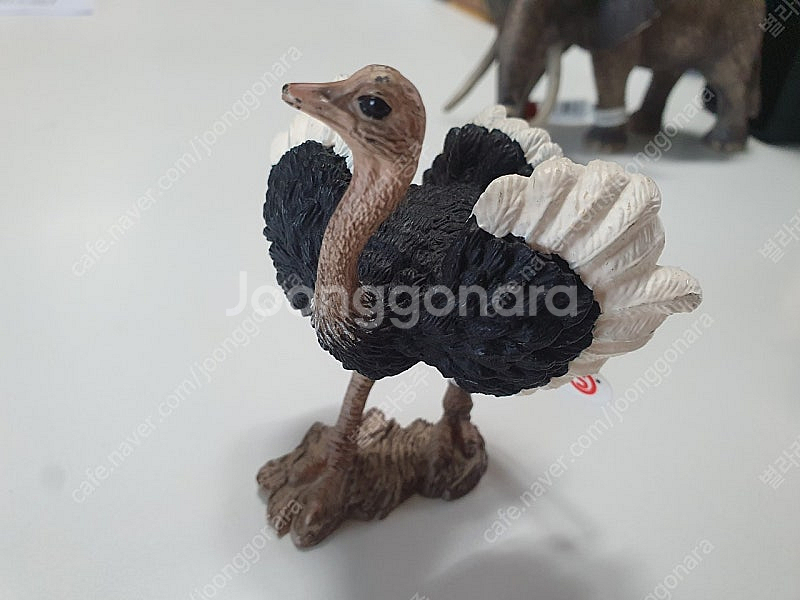 슐레이히 (코끼리,기린,타조,말)--2