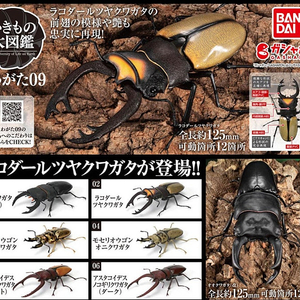 BANDAI(반다이), 생물대도감(사슴벌레 & 장수풍뎅이), 급처합니다.