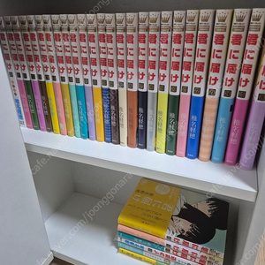 너에게닿기를 )1~30권,(29X),외전1, 팬북, 가이드북 원서