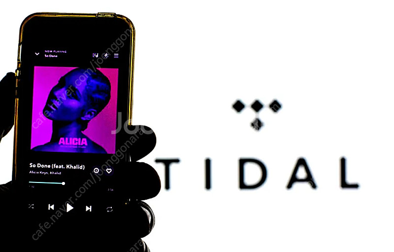 타이달 tidal 최고등급계정 파티원 구함--0