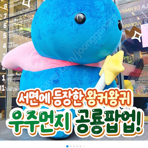 롤 rp 구매