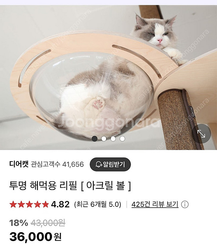 디어캣 캣폴용 아크릴볼(투명해먹) 리필--1