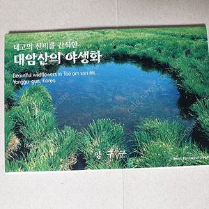 대암산의 야생화 우편엽서(우표 미부착)
