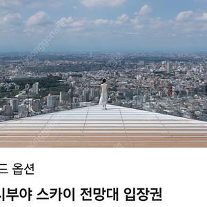 시부야 스카이 5.25 6~7시 입장권 구매합니다