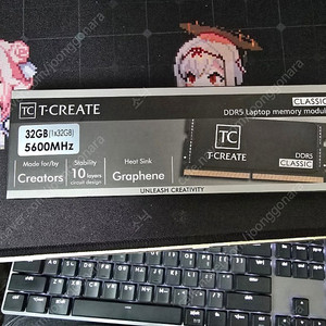 팀그룹 T-CREATE DDR5 PC5-5600 노트북용 32기가 2개 총 64기가