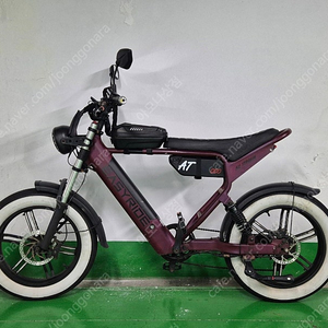 고사양 자토바이 이지라이더 올터레인1000w 전기자전거 싸게판매!