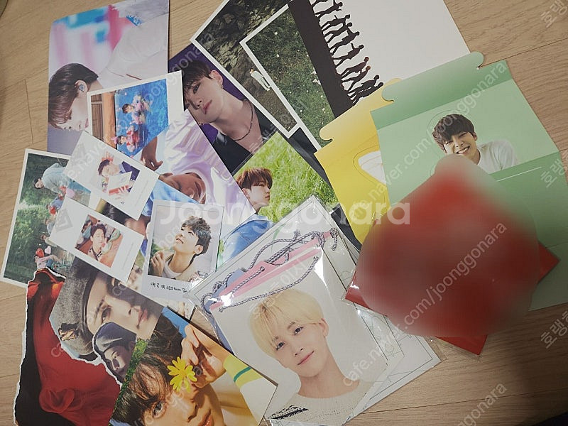 세븐틴 호시 대량 포카 탈덕 싸게 판매--3