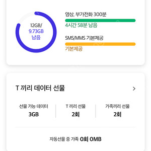Skt 데이터 2기가 3000