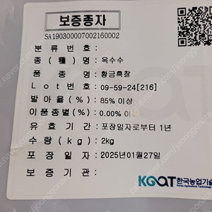 기능성 옥수수종자 황금흑찰 판매