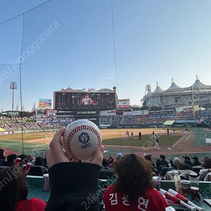 5월11일 ssg vs 기아 더블헤더 2차전 피코크 테이블석