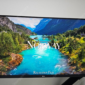 LG 32인치 QHD 모니터 32QN600