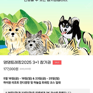댕댕트레킹 3+1 2자리 같이 구매하실분