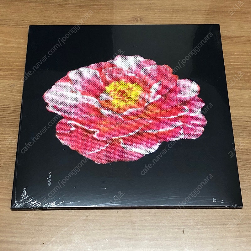 포스트말론 RSD 한정 Tribute To Nirvana LP 미개봉
