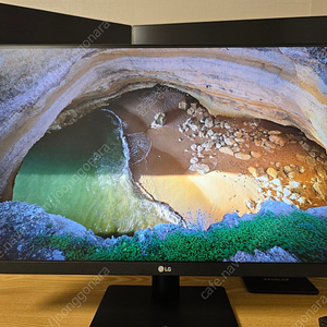LG 24인지 모니터(24MP500-BB)