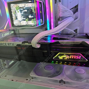 rtx 5090 msi 뱅가드 런치에디션 그래픽카드 팝니다