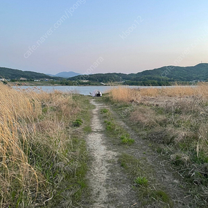 카피스코 8106 구해요