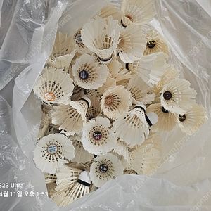 연습용 셔틀콕