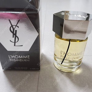 입생로랑 옴므 100ml 향수