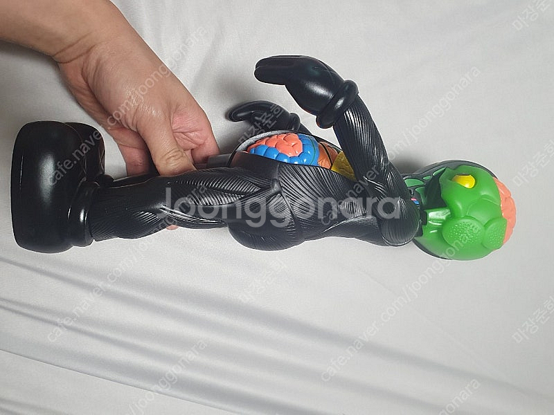 KAWS OriginalFake Dissected Co...--5