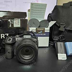 캐논 EOS R7 카메라 + 시그마 56mm F1.4 DC DN 캐논 마운트