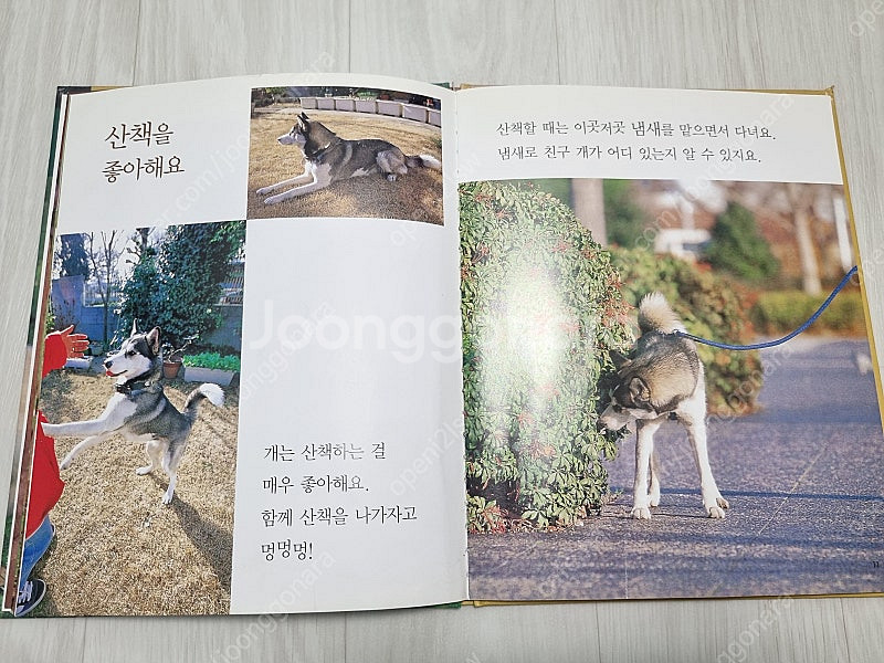 판매 프뢰벨 자연관찰 79권+부모가이드--1
