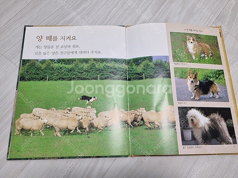 판매 프뢰벨 자연관찰 79권+부모가이드--2