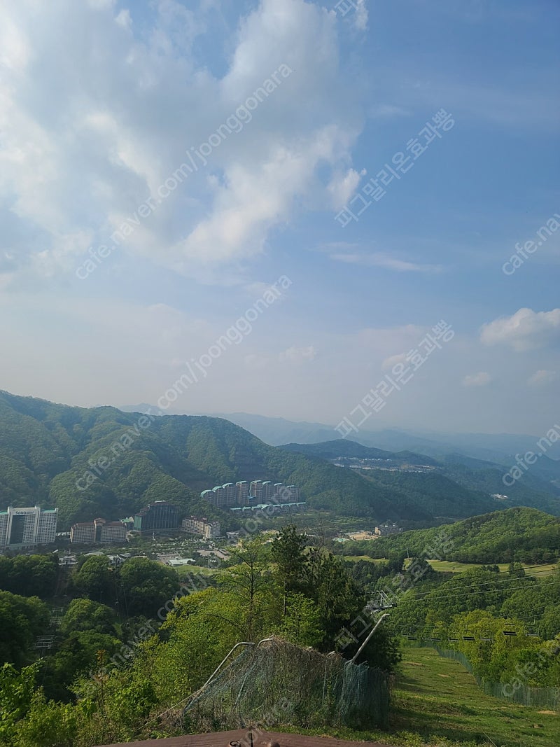 오션월드 곤돌라 홍천비발디 대인권 만원