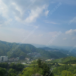 오션월드 곤돌라 홍천비발디 대인권 만원