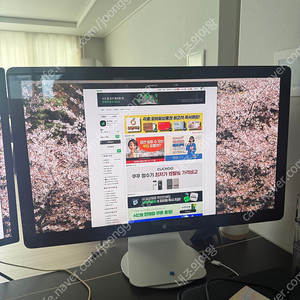 썬더볼트 디스플레이 (애플)